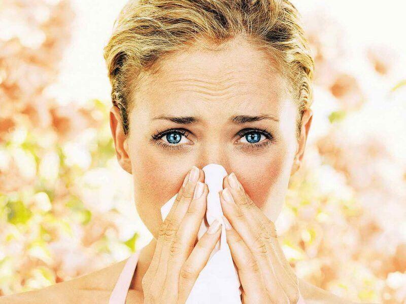 аллергия на тополиный пух причины