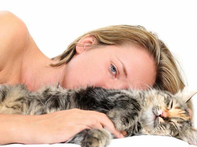 аллергия на кошек симптомы