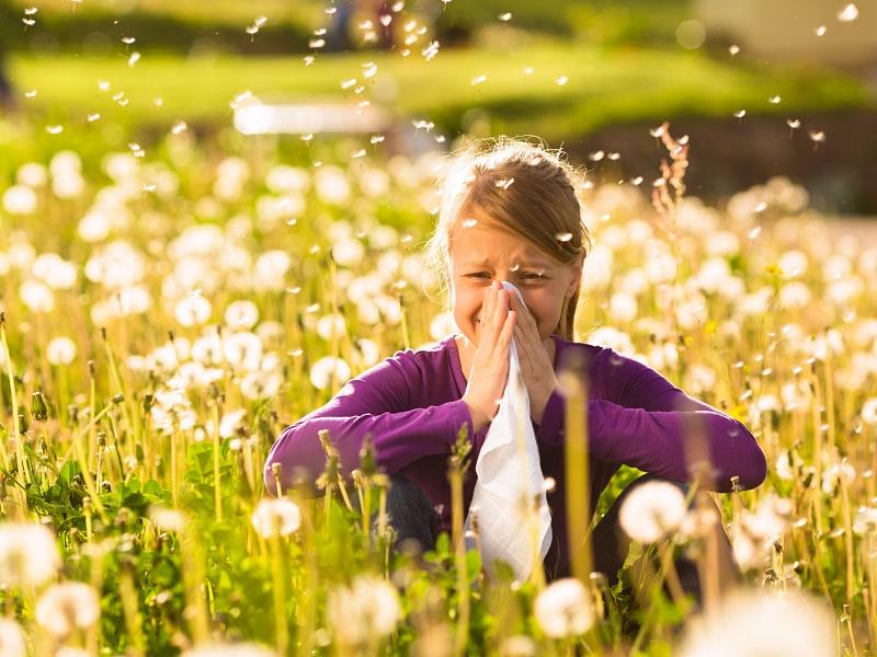 аллергены весной