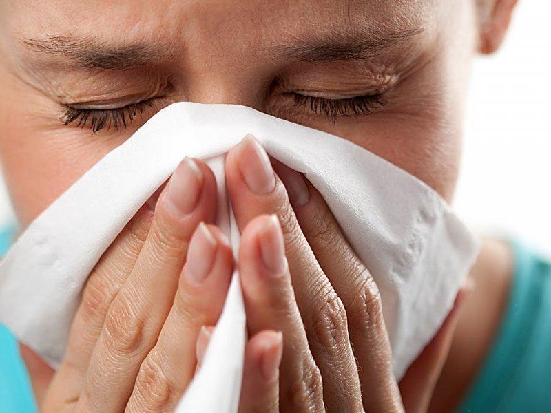 аллергия на пыль причины