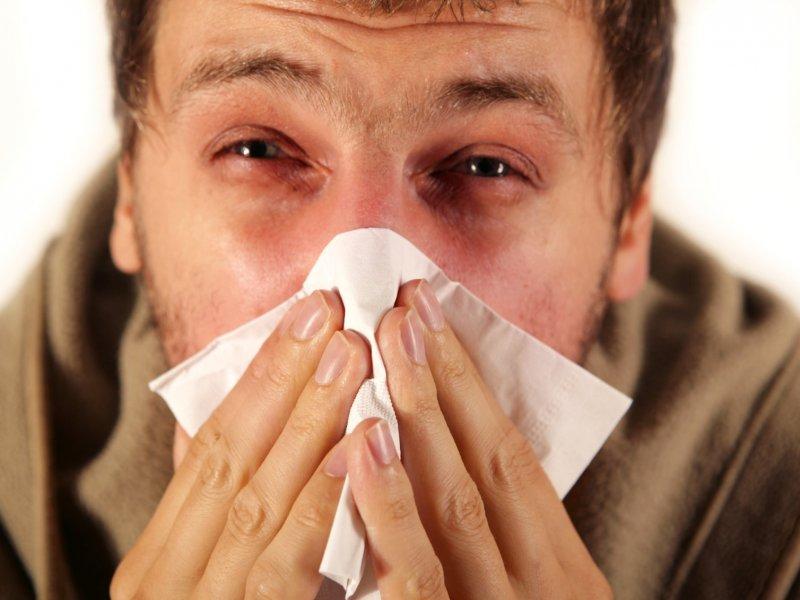 увлажнитель воздуха помогает при аллергии