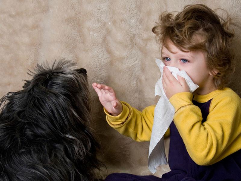 аллергия на собаку у ребенка симптомы