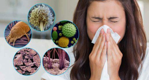 Как вылечиться от аллергии на пыль