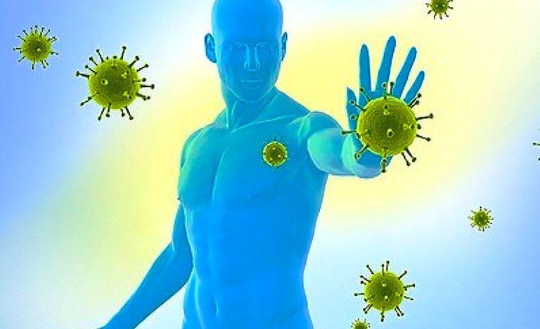 Простуда укрепляет иммунитет