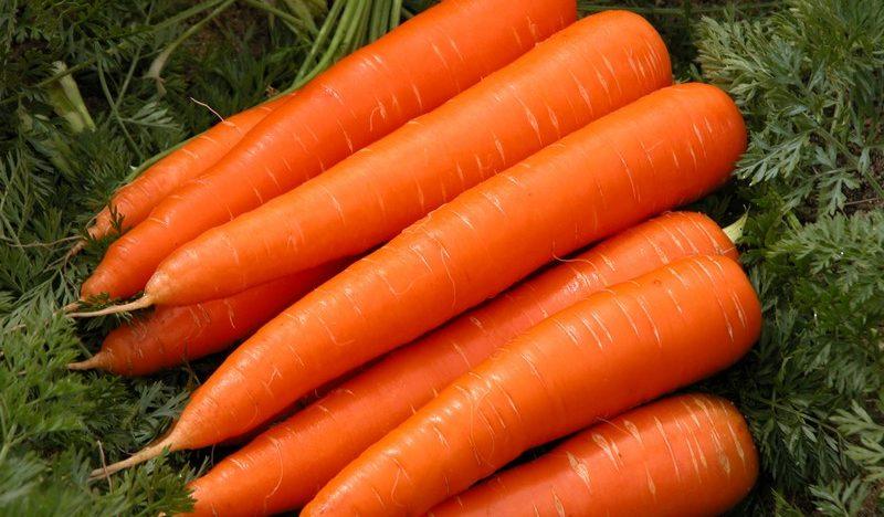Аллергия на морковь