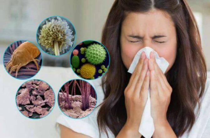 Аллергия на бытовую пыль