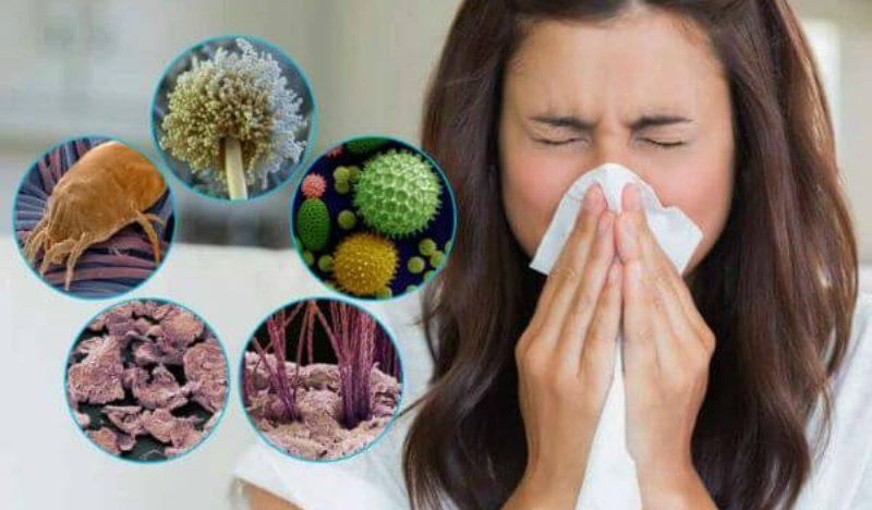 Аллергия на бытовую пыль