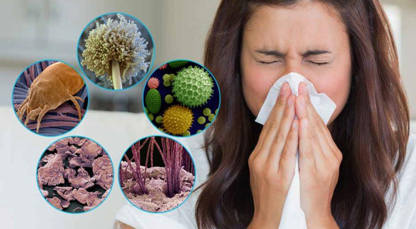 Как вылечиться от аллергии на пыль